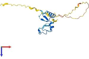 Chromosome 1 Open Reading Frame 53 (C1ORF53) (AA 1-145) protein (His tag)
