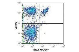 Flow Cytometry (FACS) image for anti-V alpha 2 TCR antibody (APC-Cy7) (ABIN2660724) (V alpha 2 TCR antibody (APC-Cy7))