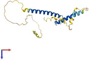 AlphaFold protein structure predicition of Human Recombinant BHLHA15 Protein, UniprotID Q7RTS1 (BHLHA15 Protein (AA 1-189) (His tag))