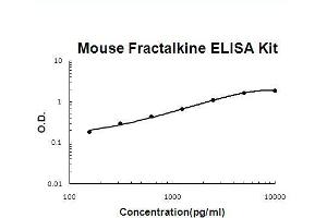 Mouse Fractalkine/CX3CL1 PicoKine ELISA Kit standard curve
