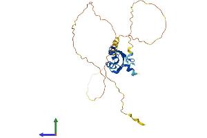 AlphaFold protein structure predicition of Mouse Recombinant Rbm7 Protein, UniprotID Q9CQT2 (RBM7 Protein (AA 1-265) (His tag))