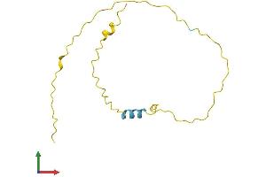 AlphaFold protein structure predicition of Human Recombinant PAGE5 Protein, UniprotID Q96GU1 (PAGE5 Protein (AA 1-130) (His tag))