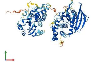 AlphaFold protein structure predicition of Mouse Recombinant Ptpn9 Protein, UniprotID O35239 (PTPN9 Protein (AA 1-593) (His tag))