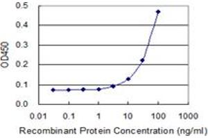 Detection limit for recombinant GST tagged NOG is 3 ng/ml as a capture antibody. (NOG antibody  (AA 28-232))