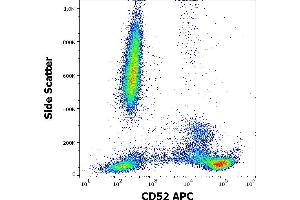 CD52 antibody  (APC)