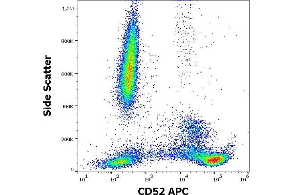 CD52 antibody  (APC)