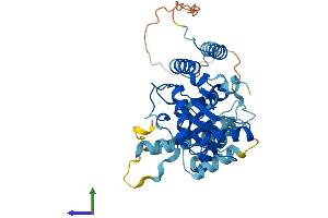 AlphaFold protein structure predicition of Mouse Recombinant Ube2q2 Protein, UniprotID Q8K2Z8 (UBE2Q2 Protein (AA 1-378) (His tag))