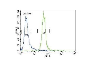 Flow cytometric analysis of CEM cells (right histogram) compared to a negative control cell (left histogram). (MLL/KMT2A antibody  (C-Term))