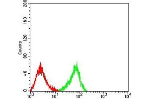 CLEC9A antibody  (AA 57-241)