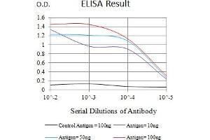 Black line: Control Antigen (100 ng),Purple line: Antigen (10 ng), Blue line: Antigen (50 ng), Red line:Antigen (100 ng) (BCL10 antibody  (AA 98-234))