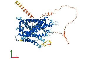 AlphaFold protein structure predicition of Human Recombinant SLC32A1 Protein, UniprotID Q9H598 (SLC32A1 Protein (AA 1-525) (His tag))
