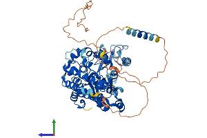 Protein Structure (PS) image for Carbohydrate (N-Acetylgalactosamine 4-Sulfate 6-O) Sulfotransferase 15 (CHST15) (AA 1-561) protein (His tag) (ABIN7564814)