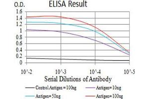Black line: Control Antigen (100 ng);Purple line: Antigen (10ng); Blue line: Antigen (50 ng); Red line:Antigen (100 ng) (ZFP91 antibody  (AA 162-304))