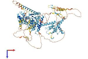 CTF18 Protein (AA 1-969) (His tag)