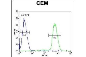 NFKBIL1 Antibody (Center) (ABIN654639 and ABIN2844336) flow cytometric analysis of CEM cells (right histogram) compared to a negative control cell (left histogram).