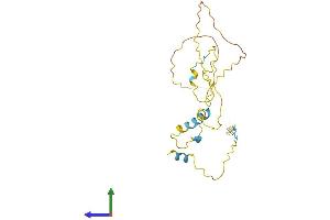 Protein Structure (PS) image for Tumor Protein P53 Inducible Nuclear Protein 1 (TP53INP1) (AA 1-239) protein (His tag) (ABIN7565146)