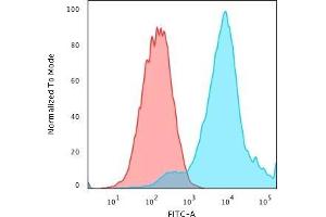 Flow Cytometric Analysis of PFA-fixed MCF-7 cells using HSP27 MAb (G3. (HSP27 antibody)