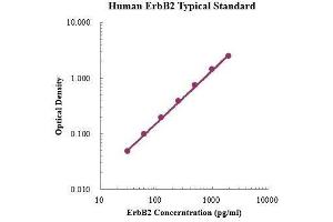 ELISA image for Receptor tyrosine-protein kinase erbB-2 (ErbB2/Her2) ELISA Kit (ABIN3198529)