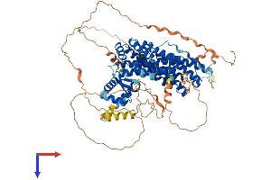 RFX2 Protein (AA 1-723) (His tag)