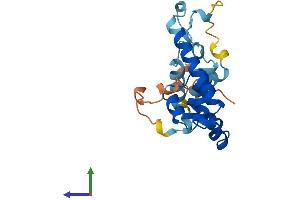 Protein Structure (PS) image for TBC1 Domain Family, Member 28 (TBC1D28) (AA 1-210) protein (His tag) (ABIN7544235)