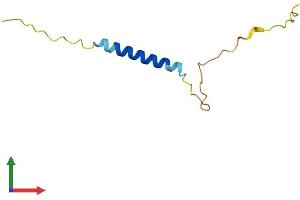 AlphaFold protein structure predicition of Human Recombinant MANBAL Protein, UniprotID Q9NQG1 (MANBAL Protein (AA 1-85) (Fc Tag))