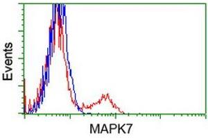 HEK293T cells transfected with either RC203506 overexpress plasmid (Red) or empty vector control plasmid (Blue) were immunostained by anti-MAPK7 antibody (ABIN2453998), and then analyzed by flow cytometry.
