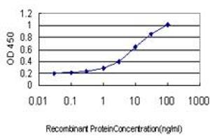 Detection limit for recombinant GST tagged TEK is approximately 0. (TEK antibody  (AA 701-800))