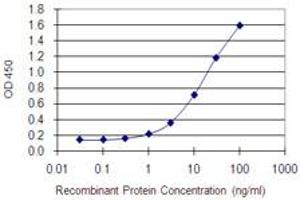 Detection limit for recombinant GST tagged DDX4 is 0. (DDX4 antibody  (AA 625-724))
