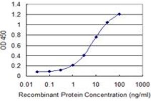 Detection limit for recombinant GST tagged HEXIM1 is 0. (HEXIM1 antibody  (AA 1-359))
