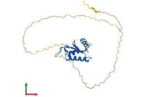 AlphaFold protein structure predicition of Human Recombinant SH3BGR Protein, UniprotID P55822 (SH3BGR Protein (AA 1-239) (His tag))