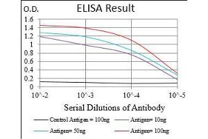 Black line: Control Antigen (100 ng), Purple line: Antigen(10 ng), Blue line: Antigen (50 ng), Red line: Antigen (100 ng), (Menin antibody  (AA 392-554))
