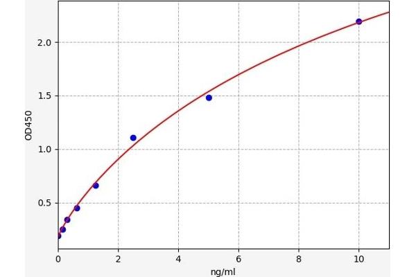 Mu Opioid Receptor 1 ELISA Kit