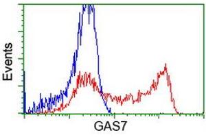 HEK293T cells transfected with either RC215256 overexpress plasmid (Red) or empty vector control plasmid (Blue) were immunostained by anti-GAS7 antibody (ABIN2453059), and then analyzed by flow cytometry. (GAS7 antibody)
