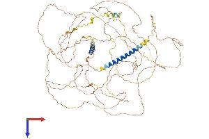 AlphaFold protein structure predicition of Human Recombinant CCSER2 Protein, UniprotID Q9H7U1 (FAM190B Protein (AA 1-834) (His tag))