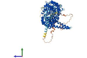 AlphaFold protein structure predicition of Mouse Recombinant Kifap3 Protein, UniprotID P70188