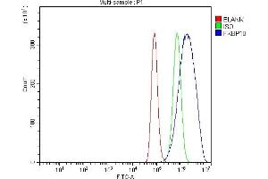 Flow Cytometry analysis of A549 cells using anti-FKBP10 antibody (ABIN7601140).