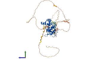 Protein Structure (PS) image for Nuclear Factor I/X (MLZE) (AA 1-488) protein (His tag) (ABIN7556679)