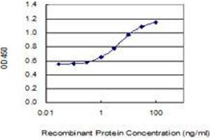 ELISA image for anti-Lamin B1 (LMNB1) (AA 107-186) antibody (ABIN517543)