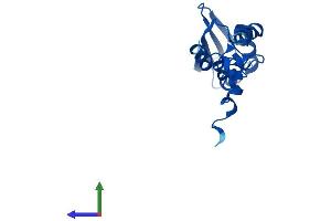 Protein Structure (PS) image for Mitochondrial Ribosomal Protein S25 (MRPS25) (AA 1-171) protein (His tag) (ABIN7560863)