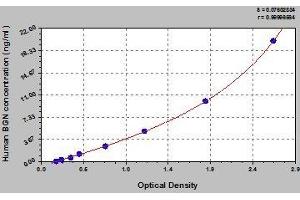 Typical standard curve (Biglycan ELISA Kit)