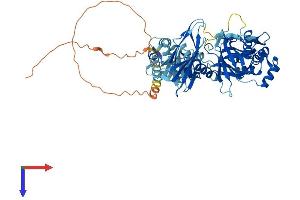 AlphaFold protein structure predicition of Human Recombinant EFCAB7 Protein, UniprotID A8K855