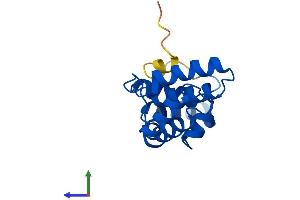 AlphaFold protein structure predicition of Mouse Recombinant Rgs13 Protein, UniprotID Q8K443 (RGS13 Protein (AA 1-158) (His tag))