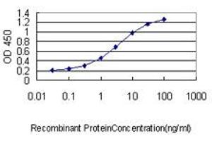 Detection limit for recombinant GST tagged HMGB2 is approximately 0. (HMGB2 antibody  (AA 1-195))