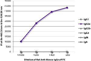 FLISA plate was coated with purified mouse IgG1, IgG2a, IgG2b, IgG3, IgM, and IgA. (Rat anti-Mouse IgG2a Antibody (FITC))
