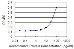 Detection limit for recombinant GST tagged FOXC2 is 3 ng/ml as a capture antibody. (FOXC2 antibody  (AA 156-256))