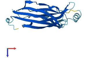 B9D2 Protein (AA 1-175) (His tag)