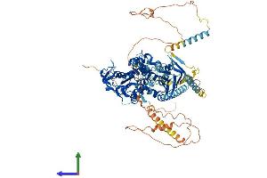 AlphaFold protein structure predicition of Mouse Recombinant Abcf1 Protein, UniprotID Q6P542