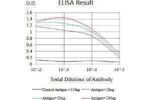 Black line: Control Antigen (100 ng),Purple line: Antigen (10 ng), Blue line: Antigen (50 ng), Red line:Antigen (100 ng) (CLEC12A antibody  (AA 65-265))