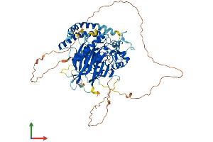 AlphaFold protein structure predicition of Human Recombinant SMPD3 Protein, UniprotID Q9NY59