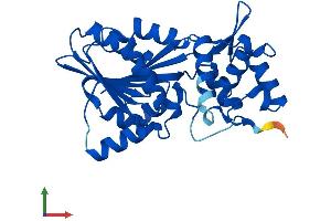 AlphaFold protein structure predicition of Human Recombinant HNMT Protein, UniprotID P50135 (HNMT Protein (AA 1-292) (His tag))